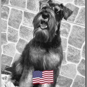 Meet your Posher, Jerry